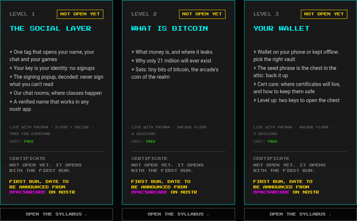 The class cards on the Classes page: Level 1 The Social Layer, Level 2 What Is Bitcoin, Level 3 Your Wallet
